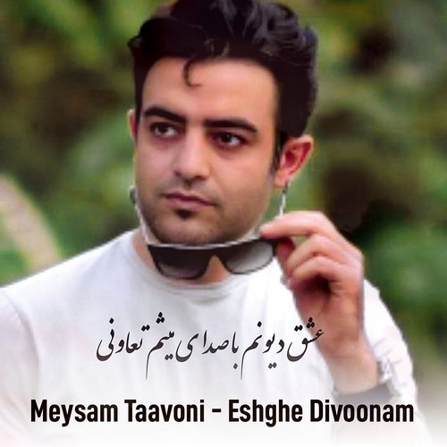 میثم تعاونی عشق دیونم